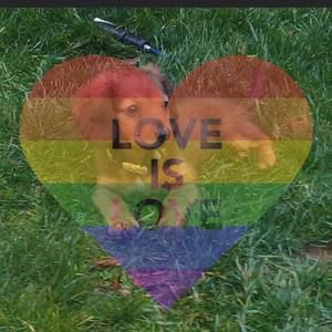 Meet your Posher, Marian